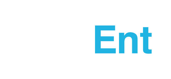 Visa Verified Payment